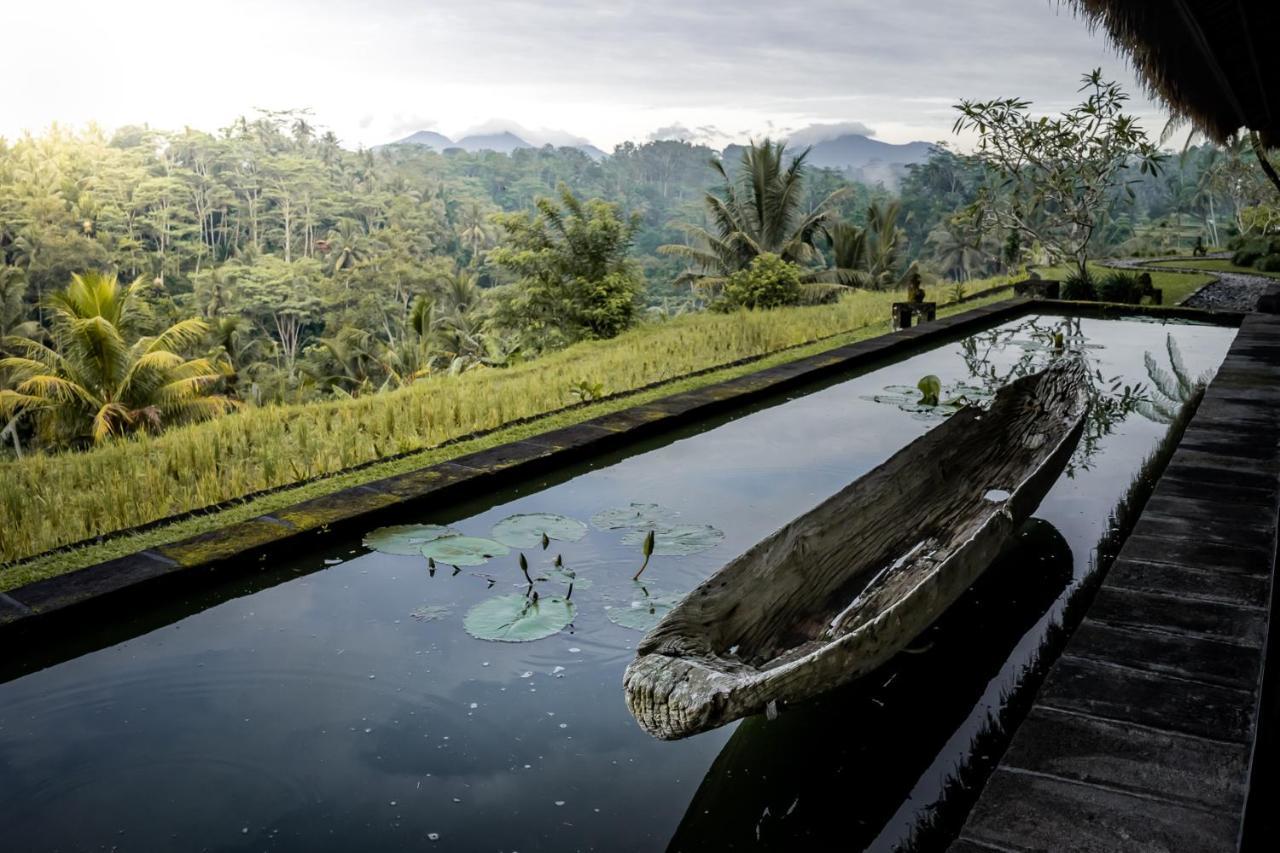 Villa Kelusa Ubud Buitenkant foto