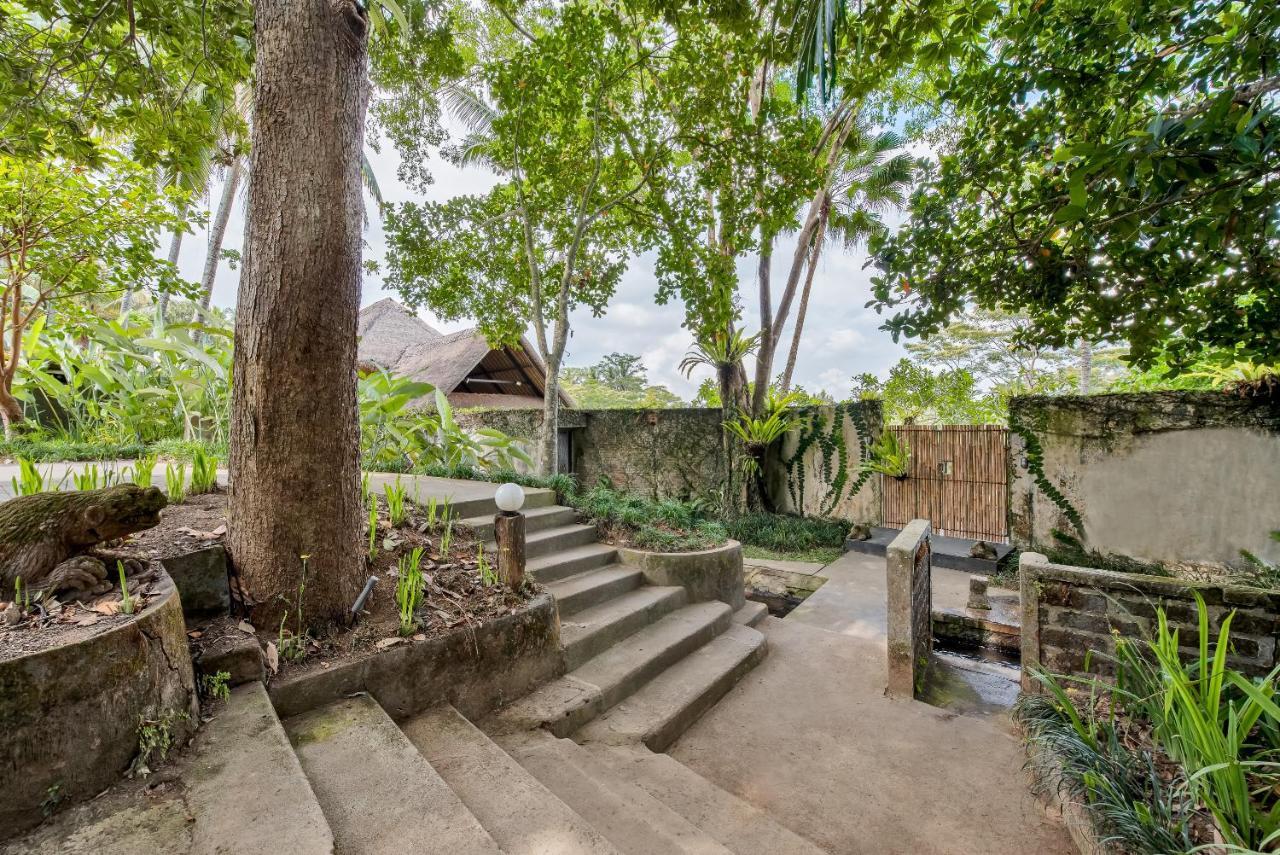 Villa Kelusa Ubud Buitenkant foto